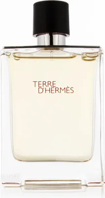 A clear, front-facing studio shot of a bottle of Terre D'Hermes eau de toilette.