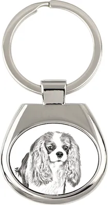 Immagine prodotto di Cavalier King Charles Spaniel - portachiavi con cane, portachiavi con stampa, ciondolo personalizzato del marchio Art-Dog