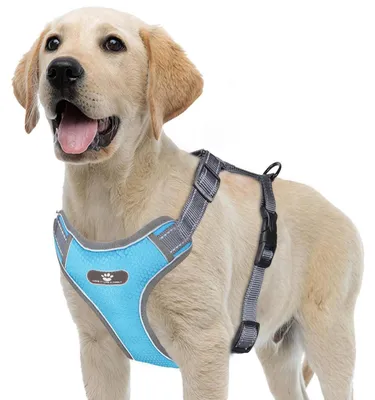 Immagine prodotto di Imbracatura riflettente per cani, antistrappo, traspirante, blu, taglia L