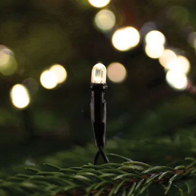 Obrázok produktu pre LED mini svetelná reťaz, 40 teplých bielych LED diód, IP44