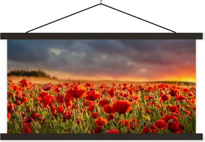 Produktbild von MuchoWow® Textilposter Sonnenuntergang über einem Feld von Mohnblumen 150x75 cm mit schwarzem Rahmen - Posterleiste