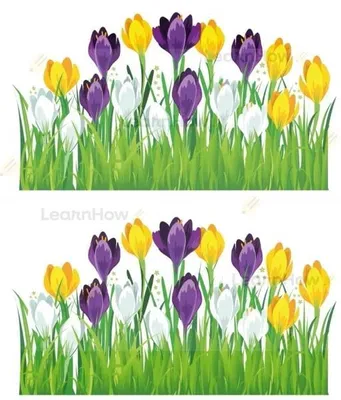 Produktbild von Frühlingsdekoration – Krokusse (2 Stück) – LearnHow