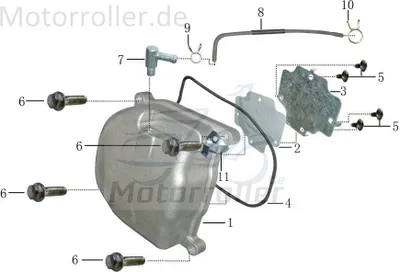 Produktbild von Bundmutter M7 mit Bund weiß verzinkt 50ccm 101203-139QMA-0000 Motorroller.de Sechskantmutter Flanschmutter Sechskant-Mutter Flansch-Mutter Bund-Mutter
