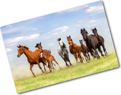 Produktbild von Tulup Glas Herdabdeckplatte - 80x52 cm - Glaskeramikkochfeld-Abdeckung Spritzschutz Glasabdeckplatte - Einteilig - Tiere - Pferde im Galopp - Braun