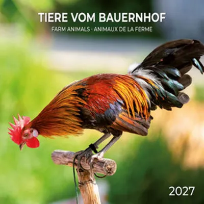 Obrázek produktu pro Zvířata z farmy / Farm Animals 2027