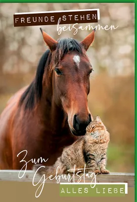 Produktbild von Geburtstag - Glückwunschkarte im Format 11,5 x 17 cm - Pferd + Katze