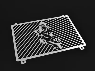 Obrázek produktu pro Kryt chladiče ZIEGER bez bočního krytu kompatibilní s Kawasaki ZRX 1100 BJ 1997-00 | ZRX 1200 BJ 2001-04 Dragon silver
