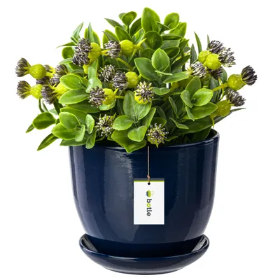 Produktbild von Keramiktopf Pflanztopf Blumenchale Übertopf Pflanzkübel handbemalt D 250 mm Navy blau Keramik inkl. Untersetzer Wasserablaufloch