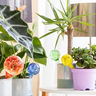 Productafbeelding van Automatische irrigatieballonnen, Waterballonnen, InnovaGoods, 4 stuks