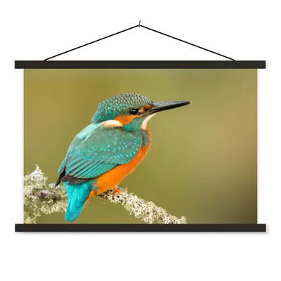 Produktbild von MuchoWow® Textilposter Eisvogel - Tiere - Vogel 60x40 cm mit schwarzem Rahmen - Hölzernes