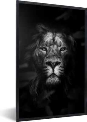 Produktbild von MuchoWow® Gerahmtes Poster Porträt eines Löwen im Dschungel - schwarz und weiß 60x90 cm - Poster mit Schwarzem Bilderrahmen Wandposter Rahmen Foto Bilder - Kunst