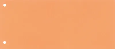Produktbild von Neutralware Trennstreifen 22,5 x 10,5 cm (B x H) 160g/m² Karton orange 100 St./Pack.