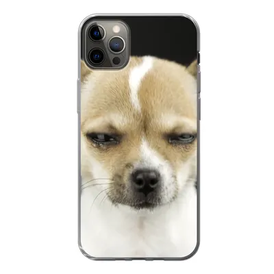 Produktbild von MuchoWow® Handyhülle Schutzhülle Hülle für iPhone 13 Pro Max Weinender Hund auf schwarzem Hintergrund Silikon Softcase Handy Hülle