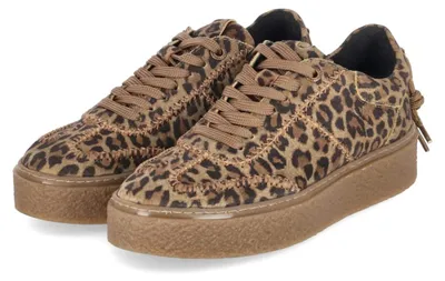 Productafbeelding van Bullboxer dames plateau sneaker, beige, leer, maat: 40