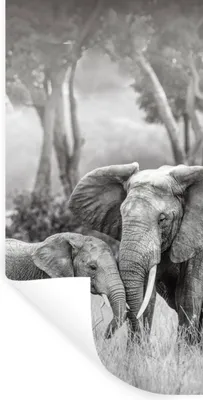 Produktbild von MuchoWow® Wandtattoo Wandsticker Wandaufkleber Elefant - Tiere - Natur - Schwarz und weiß 60x120 cm Selbstklebend und Repositionierbar - Selbstklebend - Fototapeten