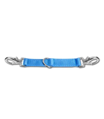 Produktbild von Longierbrille, azurblau, 25 cm