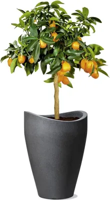 Produktbild von Wave Globe High Pflanzgefäß aus Kunststoff schwarz-granit - 298 cm Durchmesser - 40 cm hoch - 6 Liter Volumen