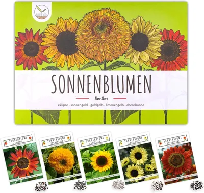 Produktbild von Farbenfrohe Sonnenblumen Samen mit hoher Keimrate - Blumensamen für einen bunten & bienenfreundlichen Garten (5er Set)