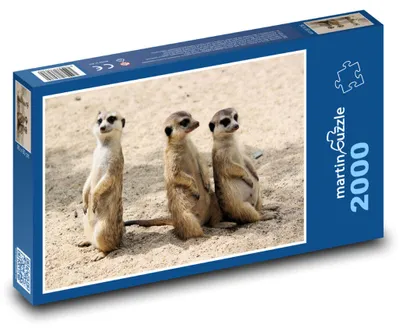 Zdjęcie produktu dla martinpuzzle - Puzzle 2000 - Surikaty