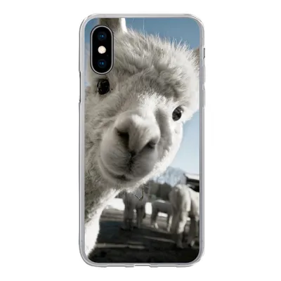 Produktbild von MuchoWow® Handyhülle Schutzhülle Hülle für iPhone X Alpaka - Weiß - Tier Silikon Softcase Handy Hülle - Handyhülle