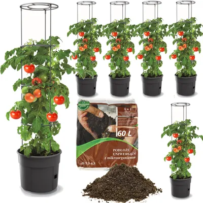 Obrázok produktu pre 6x paradajka z plastového kvetináča 12 l + univerzálna zemina 60 l 4 v 1 substrát s mikroorganizmami pre zeleninu, pestovateľ paradajok, kvetináč na paradajky, sadba, zelenina, podložka pod paradajky
