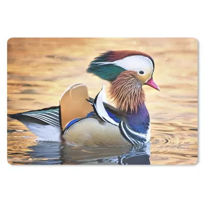 Produktbild von MuchoWow® Schreibtischunterlage Ente - Wasser - Tier 60x40 cm - XXL Mauspad - Großes Mauspad