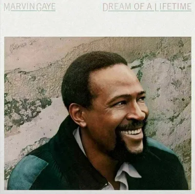Obrázok produktu pre Music On Vinyl Marvin Gaye - Dream Of A Lifetime, Vinyl, Vinyl, Marvin Gaye, Fyzické médiá, 04/09/2020, Side A 1. Sanctified Lady 2. Savage In The Sack 3. Masochistic Beauty 4. It's Madness Side B 1...., 180 g