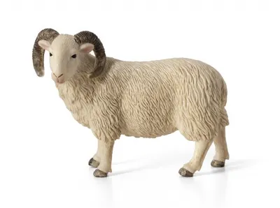 Produktbild von Animal Planet Widder