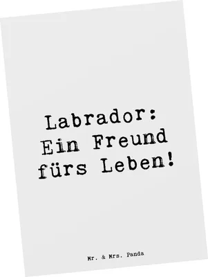 Produktbild von Mr. & Mrs. Panda Grußkarte Spruch Labrador Freund - Weiß - Geschenk, Hunderassen Vielfalt, energiegeladener Hund, Hunderasse, Wasserliebhaber, Kunstkarten, Fotokarte