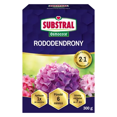 Zdjęcie produktu dla Substral Osmocote 2v1 - rododendrony 300 g EVERGREEN