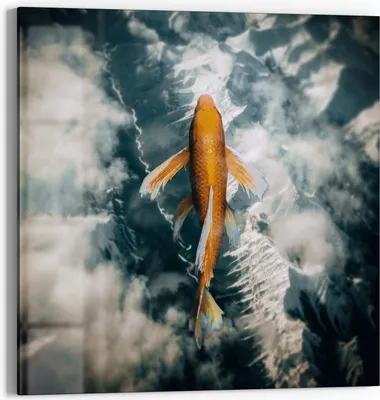 Produktbild von DEQOART Glasbild Echtglas 30x30 cm 'Goldfisch im Wolkenmeer' Wandbild Bild modern Deko