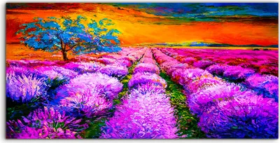 Produktbild von Coloray - Glasbild - 100x50 cm - Wandbild - Glasbilder - Blumen Lavendelfelder Sonnenuntergang