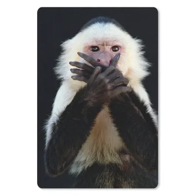 Produktbild von MuchoWow® Mauspad Mousepad Affe - Wilde Tiere - Porträt 40x60 cm - Mousepads - Maus Mat - Pad - Mausunterlage - Schreibtisch Accesoire