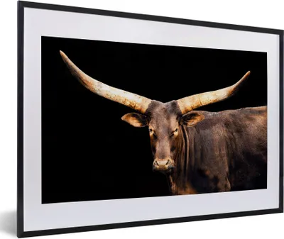 Produktbild von MuchoWow® MuchoWow® Gerahmtes Poster Kuh - Watussi - Hörner 60x40 cm - Poster mit zchwarzem Bilderrahmen - Schlafzimmer - Plakat in Rahmen - Drucken