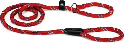 Image de Beeztees - Laisse pour chien - Laisse de démonstration - rouge - 170 cm x 13 mm