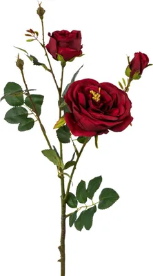 Produktbild von Künstlicher Rosenzweig rot mit 3 Blüten und 2 Knospen H. 63cm GASPER Kunstblumen