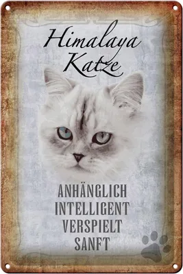 Produktbild von Blechschild Spruch 20x30cm Himalaya Katze sanft Schild