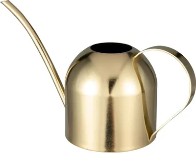 Produktbild von 33oz/1L Edelstahl Innen Kleine Gießkanne für Zimmerpflanzen mit Langer Auslauf - Goldfarbene Gießkanne