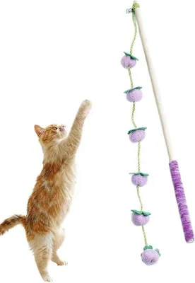 Productafbeelding van Kattenhengel Speelgoed - Katten Teaser - Spelen en Bewegen - Fruitvorm Ontwerp - 40 cm - Paars