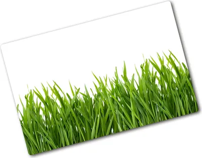 Produktbild von Tulup Glas Herdabdeckplatte - 80x52 cm - Glaskeramikkochfeld-Abdeckung Spritzschutz Glasabdeckplatte - Einteilig - Blumen & Pflanzen - Gras - Grün