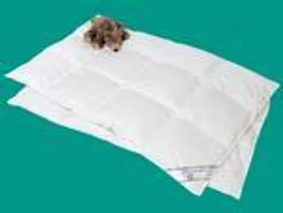 Produktbild von Kinderbettdecke 100x135 Kinder Daunendecke 100 % Daune sehr leicht