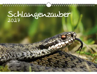Produktbild von Schlangenzauber DIN A3 Kalender für 2027 - Seelenzauber