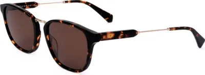 Produktbild von Sandro Sonnenbrille SD1007 208 51 19 145