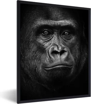 Produktbild von MuchoWow® Gerahmtes Poster Gorilla - Schwarz - Weiß - Tiere - Porträt 60x80 cm - Poster mit Schwarzem Bilderrahmen Wandposter Rahmen Foto Bilder - Premium - Wanddeko Wohnzimmer