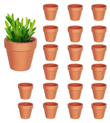 Image de Lot de 20 petites pots en terre cuite avec trous de drainage – pour intérieur et extérieur