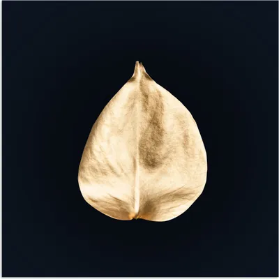 Produktbild von MuchoWow® Poster Blätter - Schwarz und Gold - Schwarz - Gold - Luxus 50x50 cm - Wohnzimmerdekoration