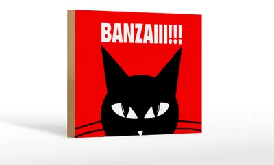 Produktbild von Holzschild Spruch 18x12 cm Katze Banzaiii
