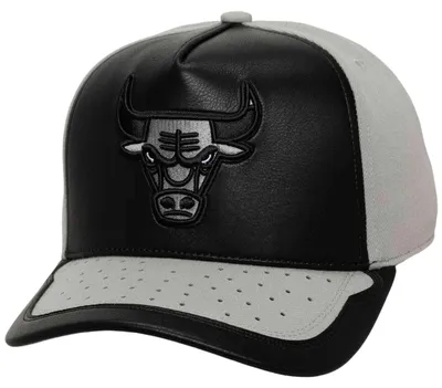 Productafbeelding van Pet Mitchell & Ness NBA Day One Snapback voor Uni