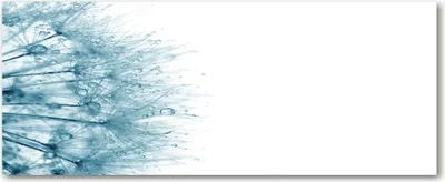 Produktbild von Tulup® Glas-Bild Wandbild aus Glas - 125x50 - Wandkunst - Wandbild hinter gehärtetem Sicherheitsglas - Dekorative Wand für Küche & Wohnzimmer  - Blumen & Pflanzen - Löwenzahn - Grau