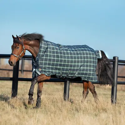 Immagine prodotto di Coperta da paddock Horseware, taglia 155 - Modello Rhino Wug, imbottitura 250g, colore Hunter Check